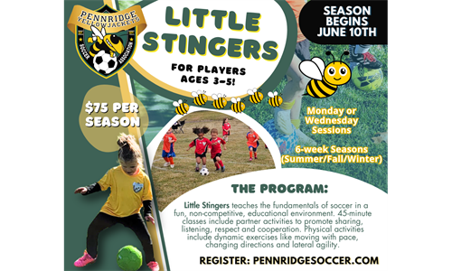 New Program Alert - The Little Stingers!