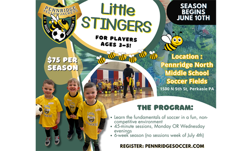 New Program Alert - The Little Stingers!
